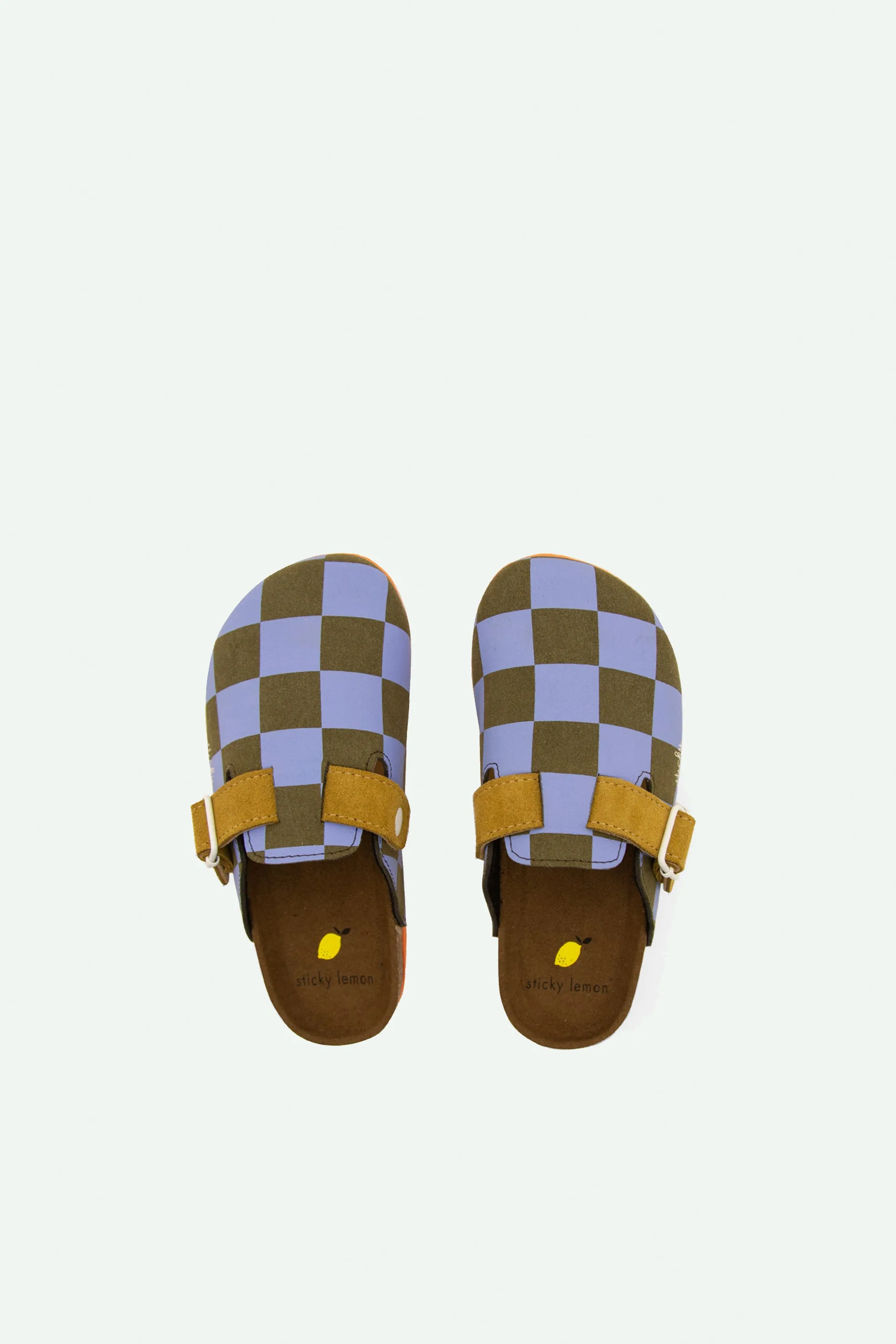 clogs | farmhouse | soil green   blooming purple