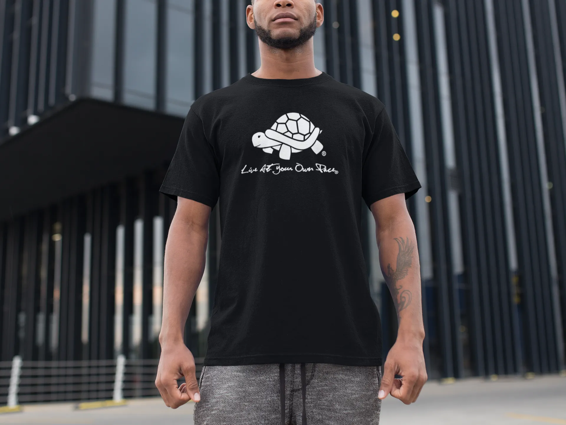 LAYOP Turtle Tee [Panda]